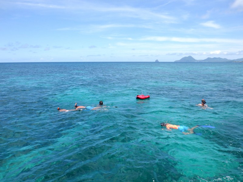 Snorkeling in Martinique
