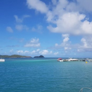 Day trip by catamaran