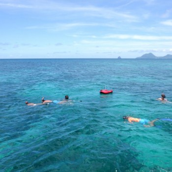 Snorkeling Martinique