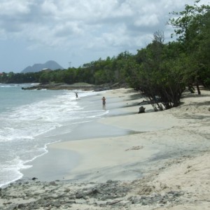 bungalow ticasecaraibes martinique 13